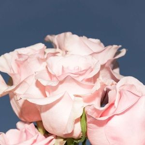 Meet your Posher, Mercedes